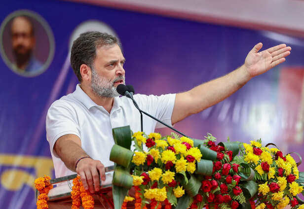 Rahul Gandhi Addressing a Public Gathering