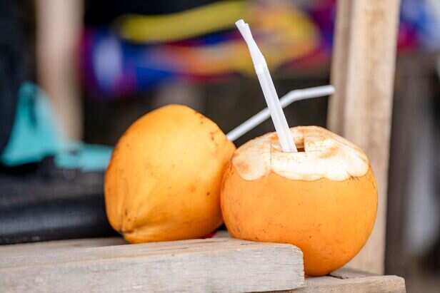 Nature's Sports Drink: The Hydration Power of Coconut Water
