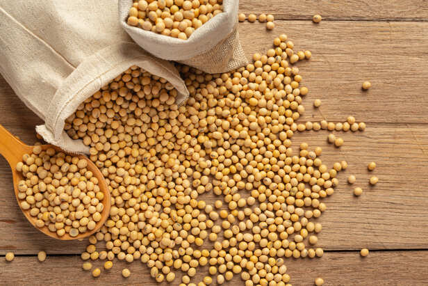 Soyabean