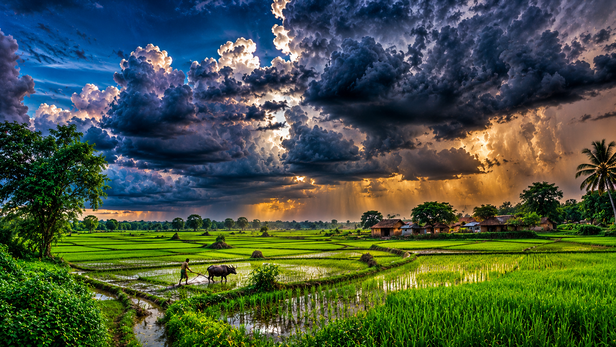 Monsoon Clouds Over Bihar Fields
