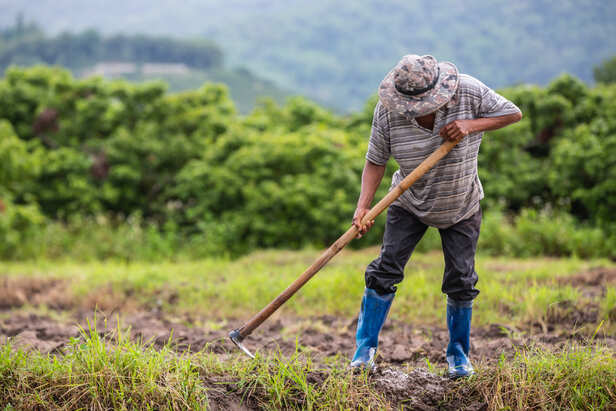 Farmer