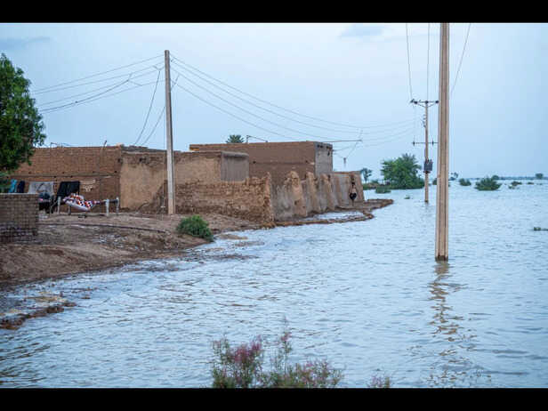 Monsoon Floods Are A Hidden Breeding Ground of Mosquitos