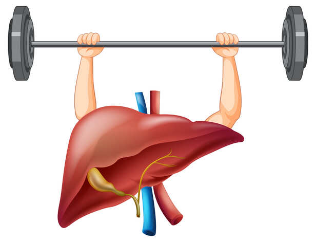 Healthy Liver Illustration with Nutritious Foods