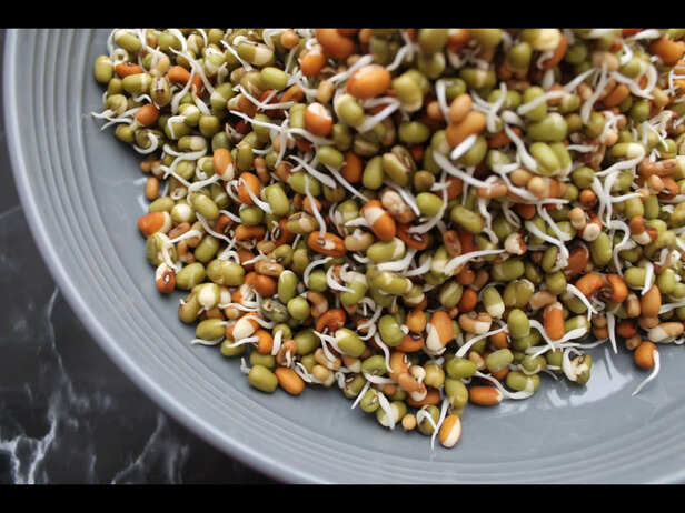 ​The Monsoon Risk Hiding in Your Sprouts
