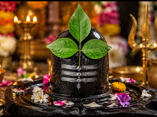Three-Leaf Bilva Patra on a Shivling