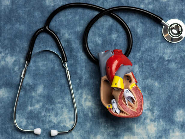 Heart and Kidney Health Connection