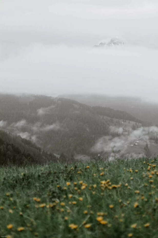 flower valley