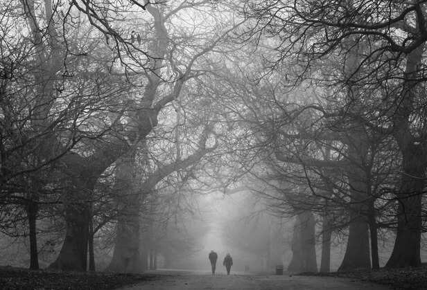 creepy-dark-park-with-two