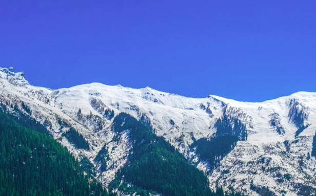 Image Div