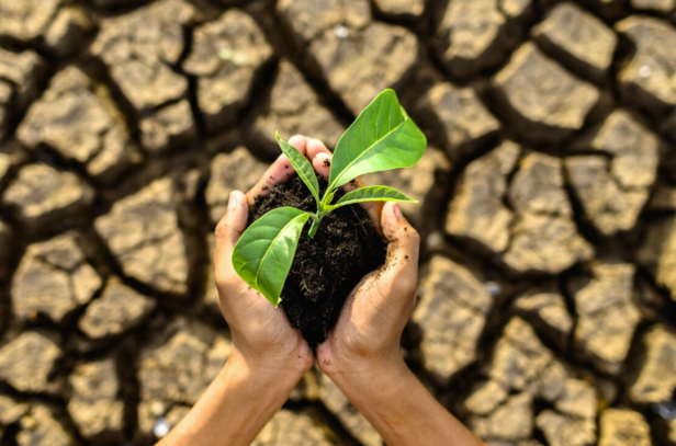 Climate Change Is Here