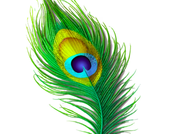 Image Div