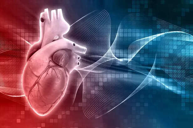 The Heart: Changing Shape