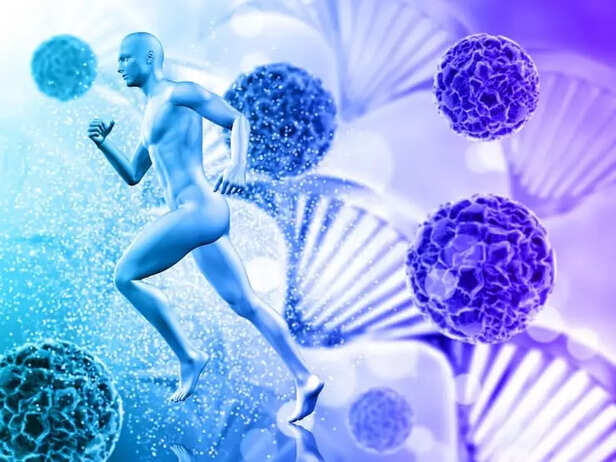 Immune System and DNA