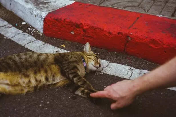 helped someone