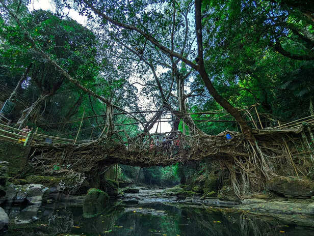 Living Root Bridges, Megh
