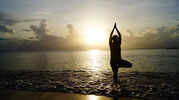 The Origin of Yoga: Traci