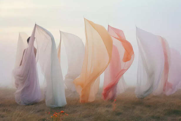 Sheer Fabrics