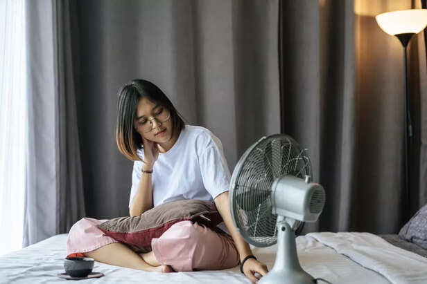 Fan