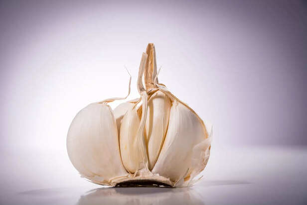 Garlic