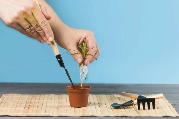 Propagation Is Easy & Fun