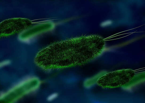 Waterborne Disease