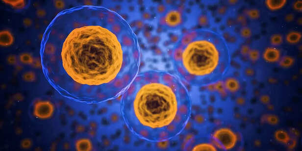 Infectous Diseases