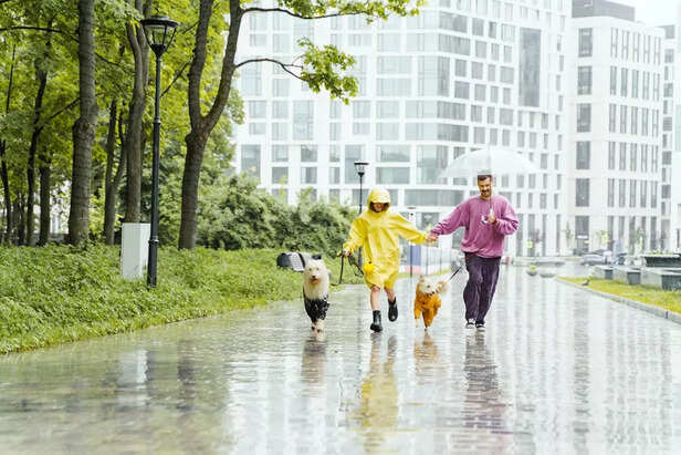 Happy rain