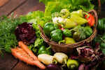 Monsoon Diet Alert: These