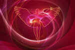 Angel Number 555: Meaning