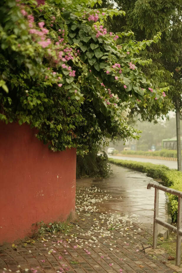 Rain showers
