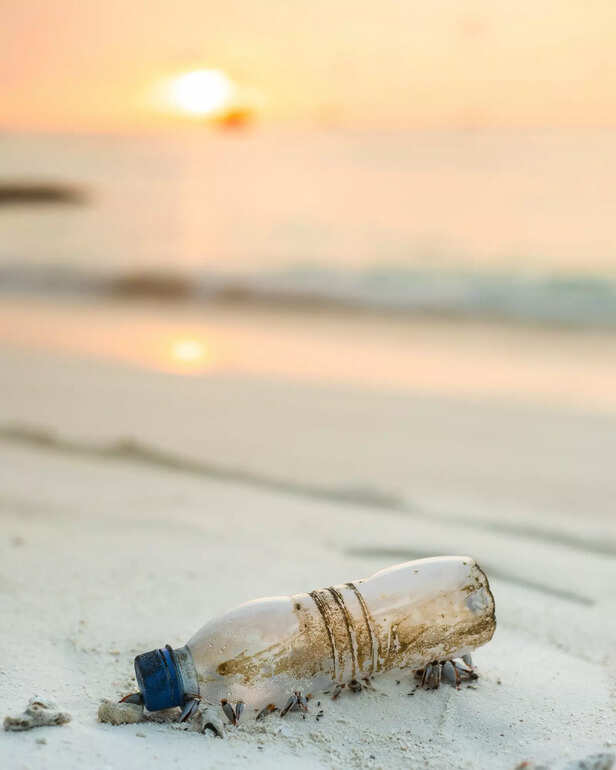 Eco friendly tourism