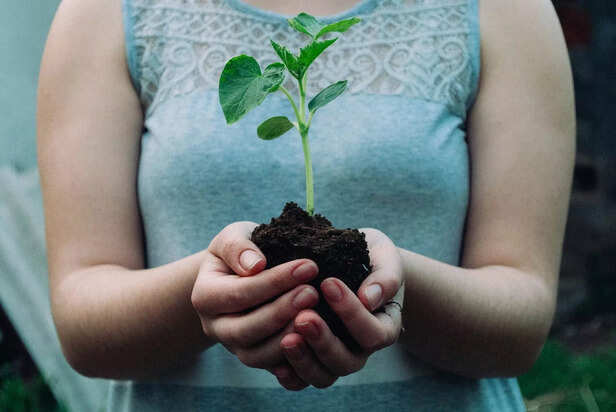 Sustainable Planting