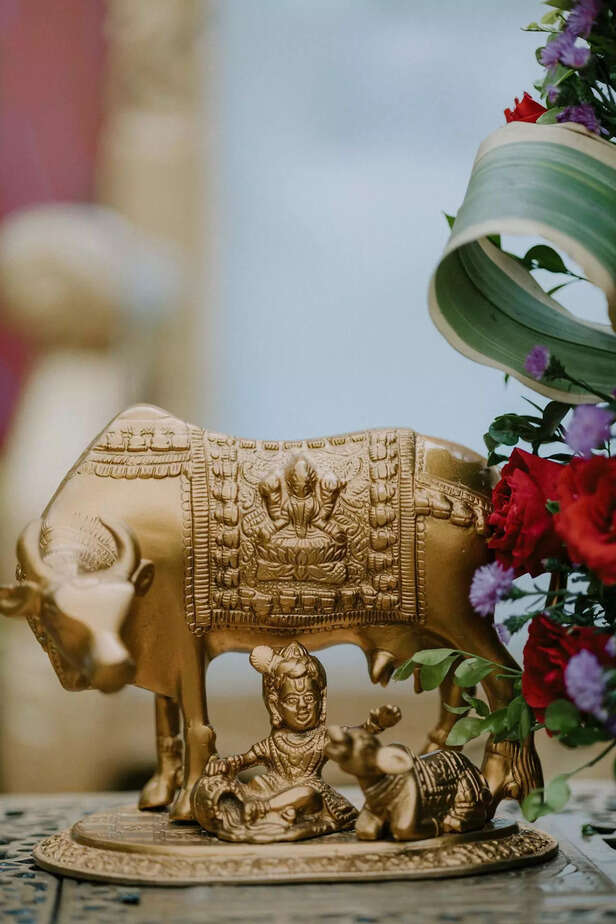 Vishnu Giving Darshan to 