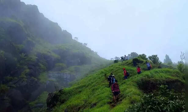 Agumbe Rainforest Trek (I