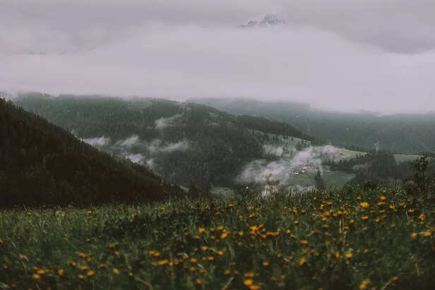 Monsoon Magic in the Moun
