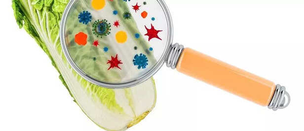 Vegetables and Fruits May