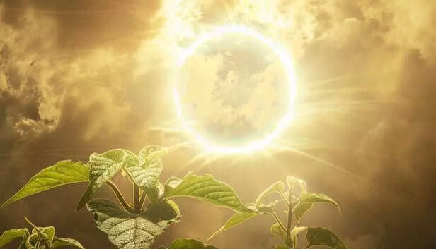 Solar Maximum