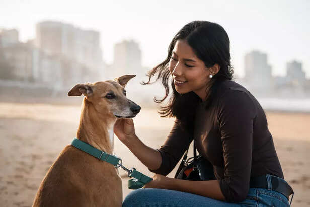 Humans and Dogs