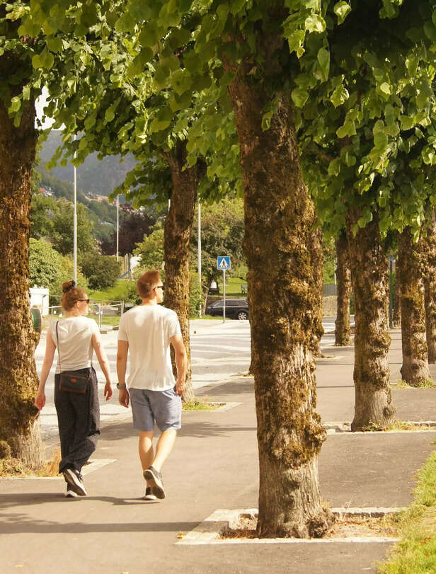 Brisk Walking in the Park