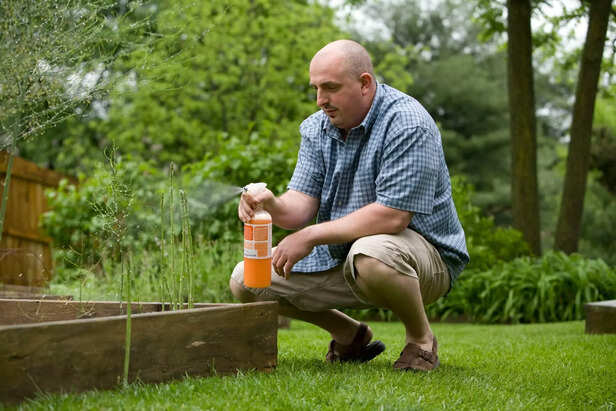Sustainable Eating with P