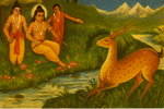 The Golden Deer of Ramaya