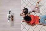 Smart Homes: The Future of Living in Connected Spaces