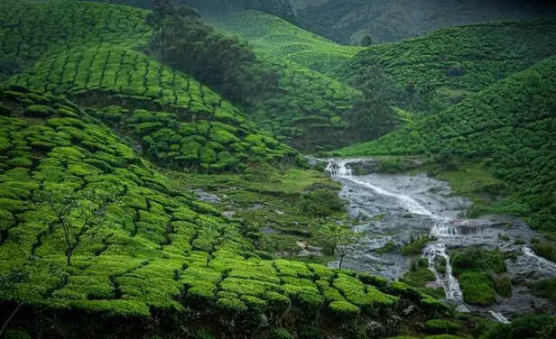 Munnar